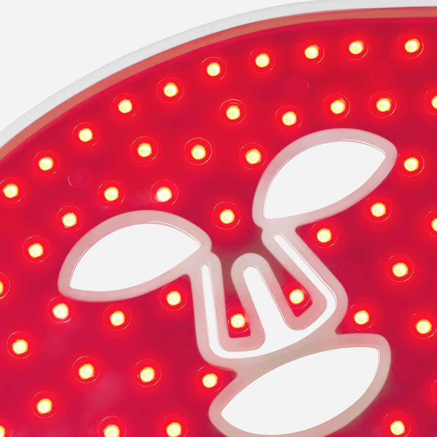 LED Pro Skin Therapy Mask