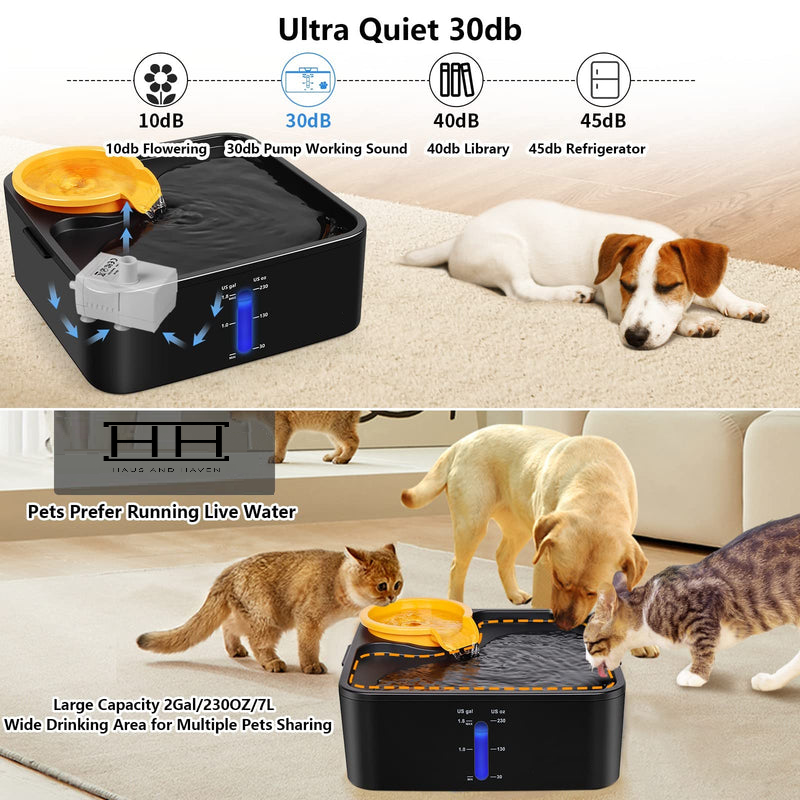 Pet Water Fountain