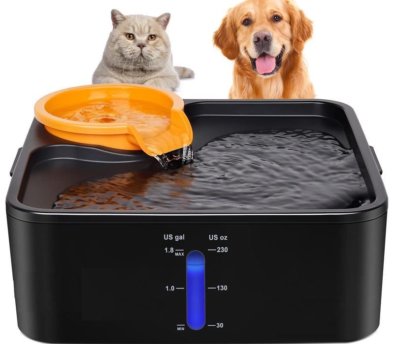 Pet Water Fountain